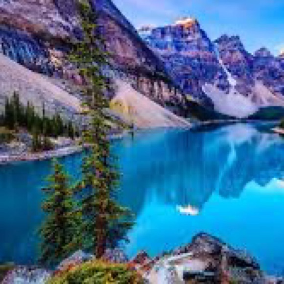 Meet your Posher, Diane - Picture 1 of 1